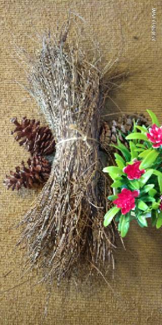 (5 Gratis 1) Daun Pinus Kering Pinecones Sarang Burung Birdnest Rustic Dekor Property Photo