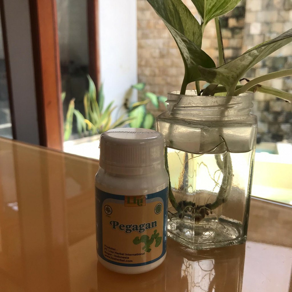

Pegagan Ekstrak kapsul Liza Herbal untuk Peredaran Darah