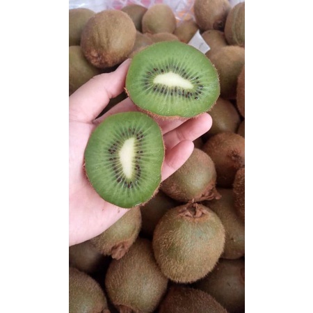 

Buah Kiwi Hijau - Kiwi Green - Kiwi (ADA KEMASAN INCIP 3 BUAH, ADA 500gram dan 1kg)