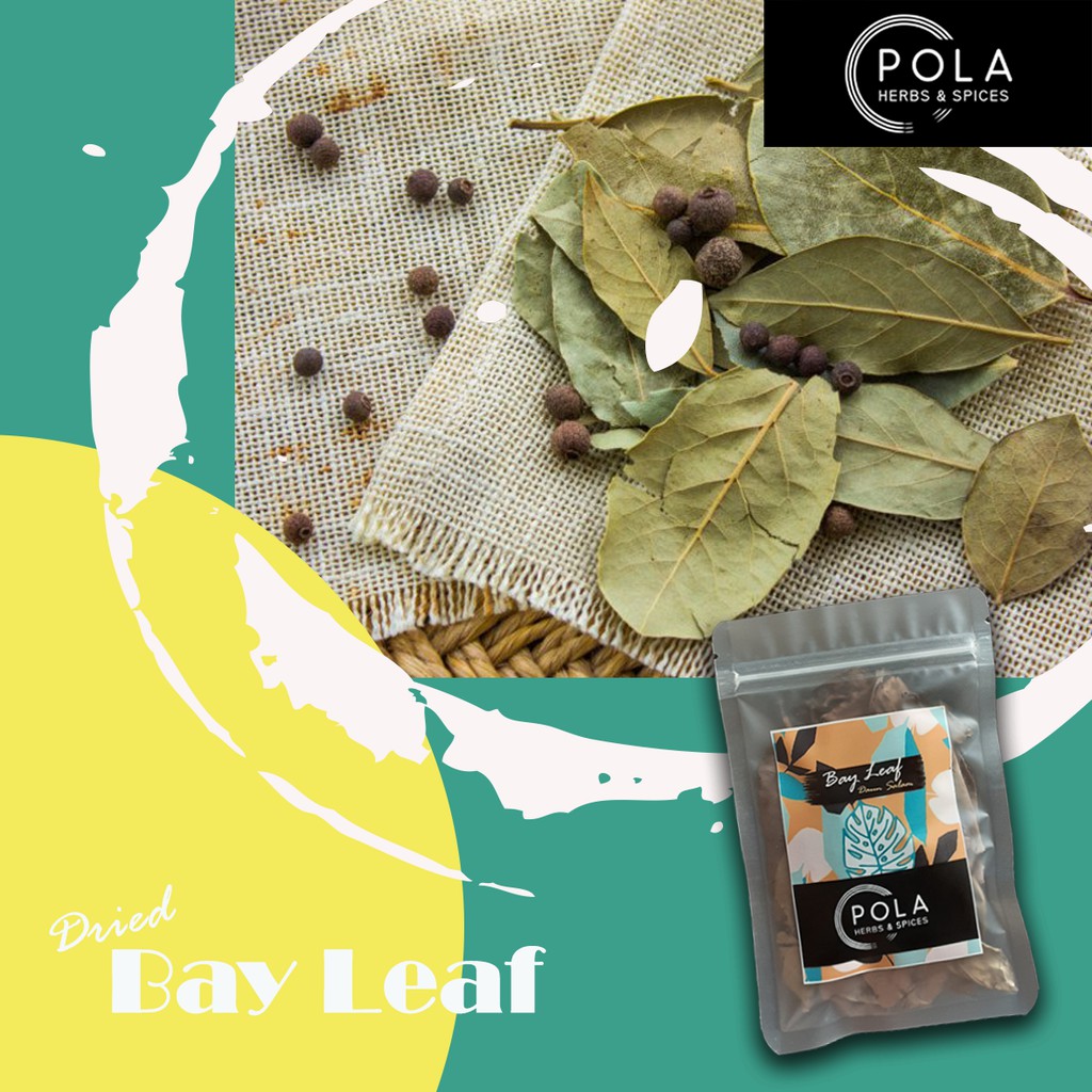 

Dried Bay Leaf / Daun Salam Kering