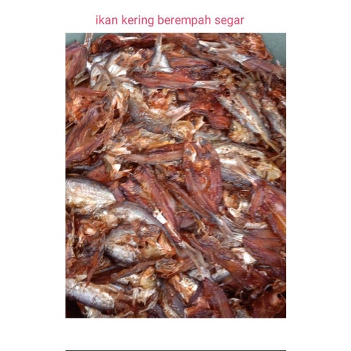 

Produsen ikan kering layu berempah Lemak manis
