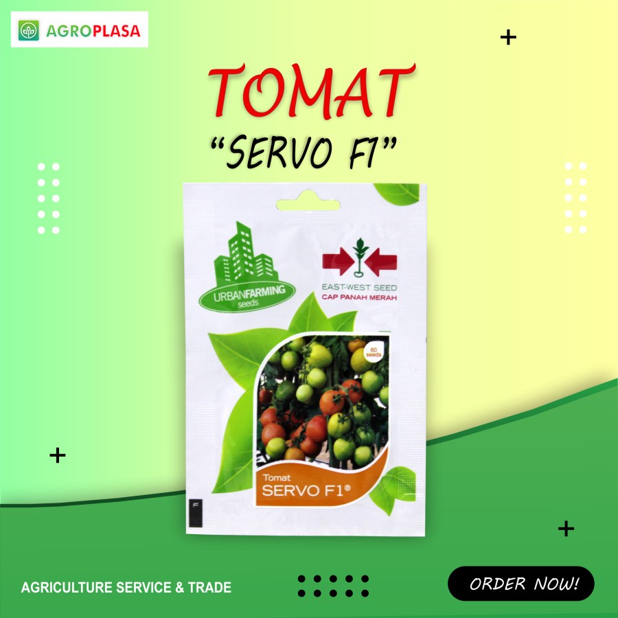 Benih Tomat SERVO F1 - CAP PANAH MERAH