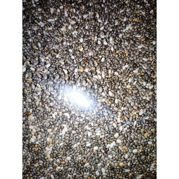 

Chia Seed 100 gr