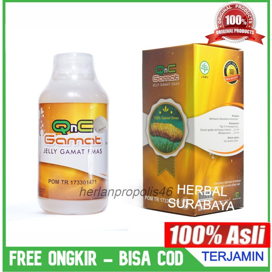 Yuk Lihat Kegunaan Obat Herbal Gamat Emas 