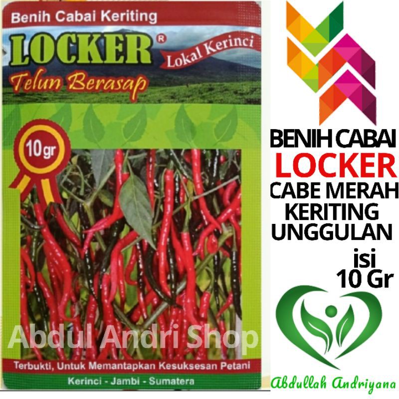Benih Cabai Keriting LOCKER isi 10 Gr Bibit Cabe Keriting Unggulan Sumatera Jambi Kerinci