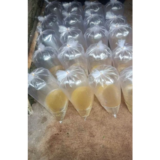 

TELUR GURAME SOANG 1000 BUTIR IKAN AIR TAWAR
