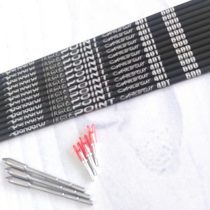 Anak Panah Pandarus Ice Point Carbon 40T - 3,2 mm