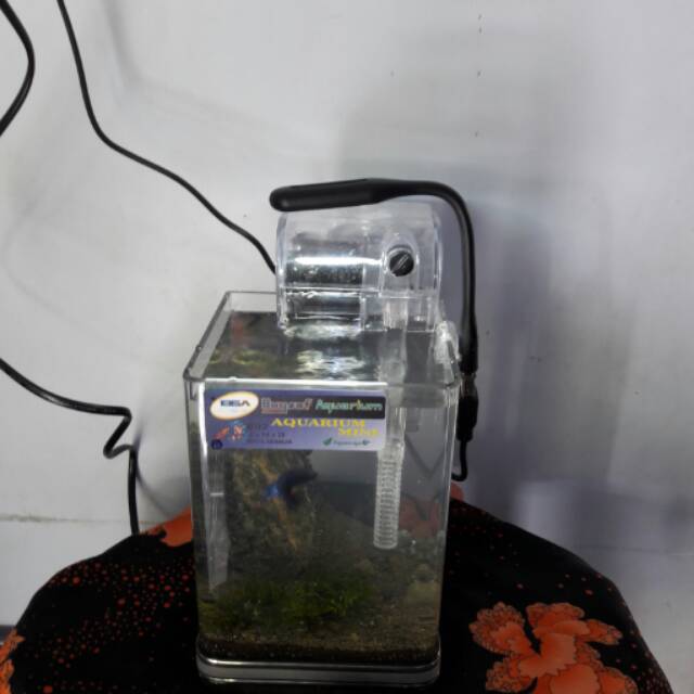 Aquarium Akrilik Mini 001 Filter Lampu Led Shopee Indonesia