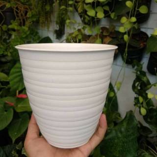  Pot  Bunga Plastik Putih Tawon  Pirus  Tirus 15  cm Shopee 