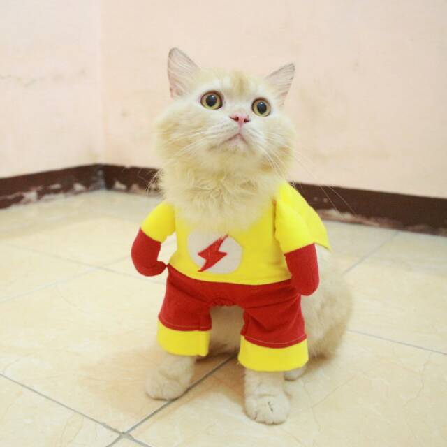 Kostum flash untuk kucing dan anjing, kostum lucu murah meriah size S M L XL