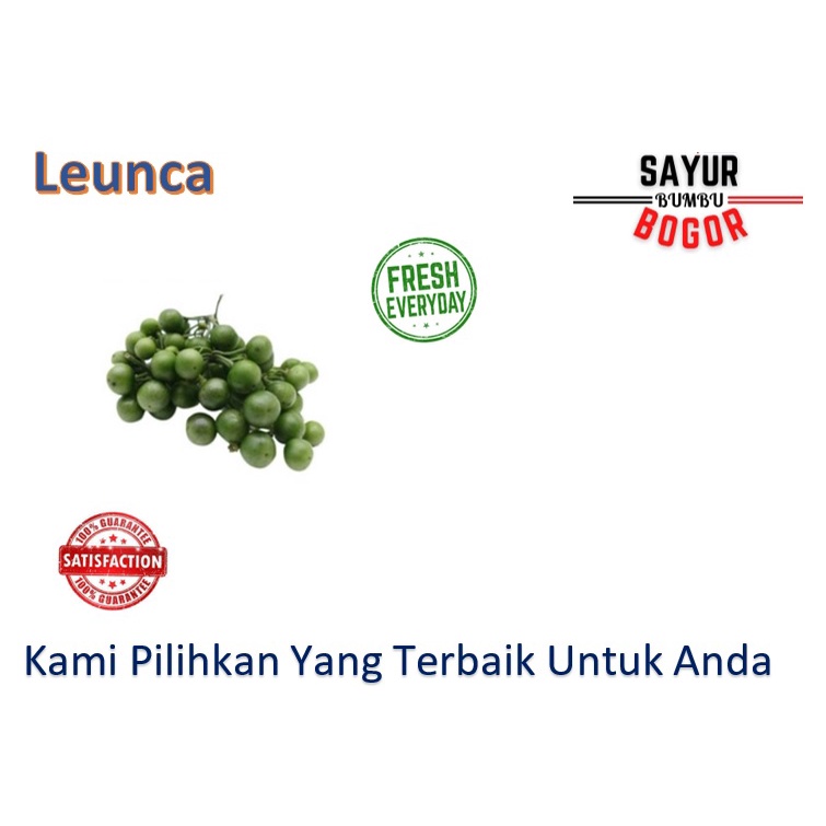 

Leunca / Leunca Lalap / Leunca Sayur / Sayur Segar