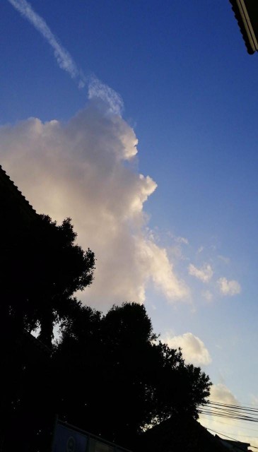 (cod) Fungisida Ziflo 90 Wp Kemasan 200 Gram