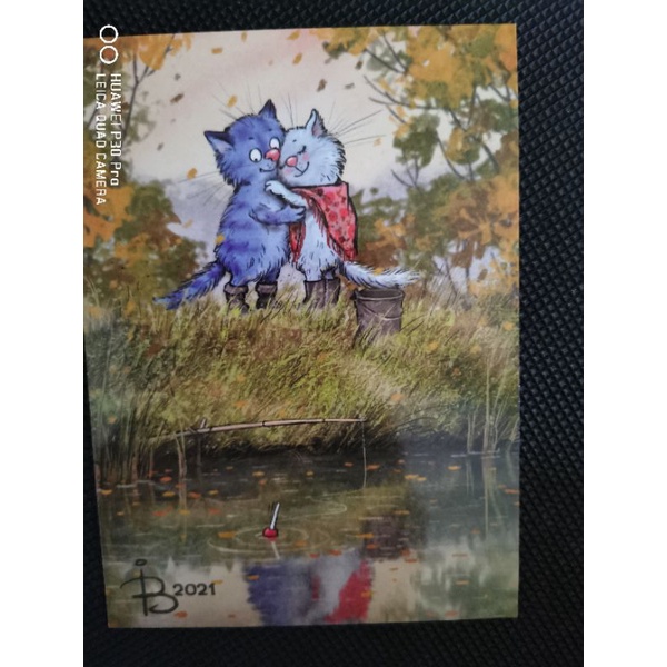 

kartu pos kucing bluecat/bluecat postcard