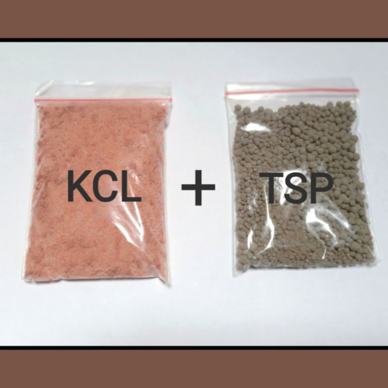 Pupuk KCL Plus TSP 200 gram Mempercepat Pembuahan dan Pembungaan Tanaman