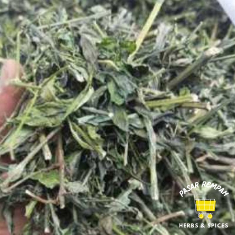 

Daun Sambalito Kering 100gr