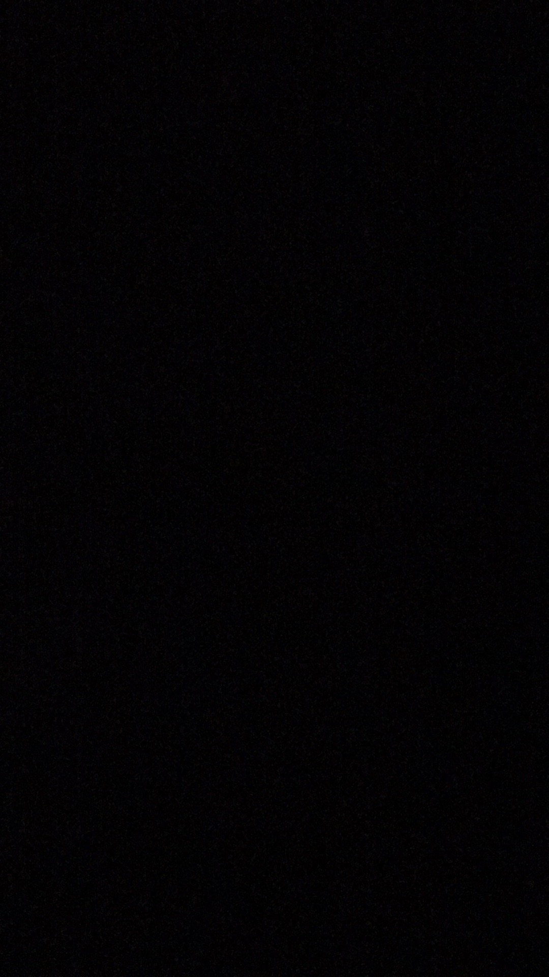 Tray Bento/mika Bento/box Bento/ Bento Sekat 4 + Tutup Bening