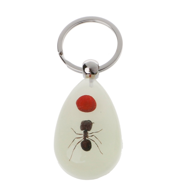 Siy Luminous Amber Insect Keychain Black Scorpion Resin Untuk Gantungan Kunci Glow in the Dark Liontin Dengan Sample Serangga Di Dalam
