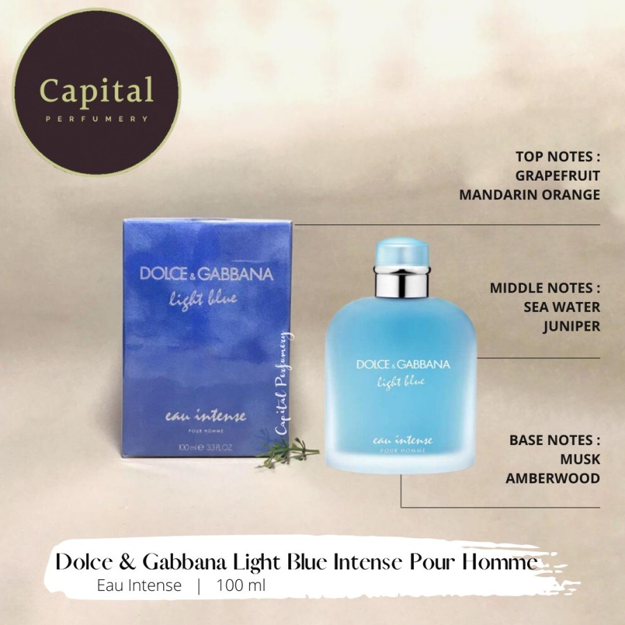 Jual dolce gabbana light blue Harga Terbaik & Termurah Januari 2023