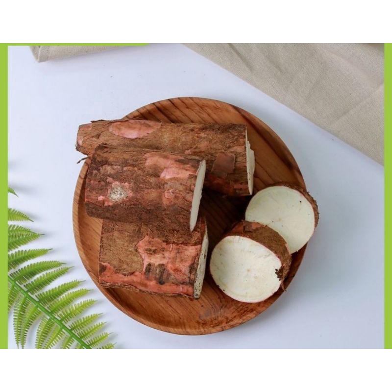 

singkong segar asli lereng lawu jawa tengah⭐⭐⭐⭐⭐