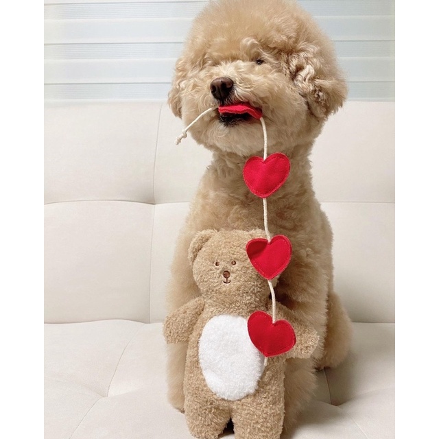 Korea pocket love bear cuddle and hidden food toy