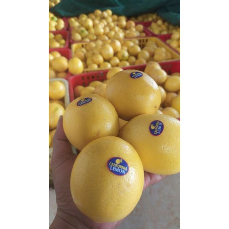 

jeruk lemon california