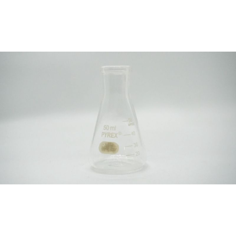 Labu Erlenmeyer 50 ML Pyrex