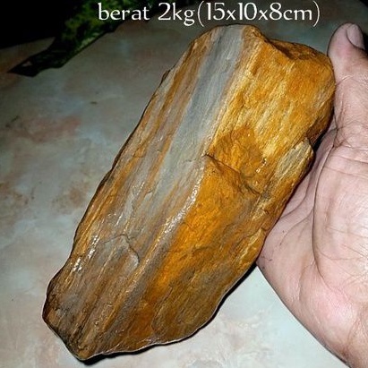 2 kg batu fosil kayu galih kelor(180)