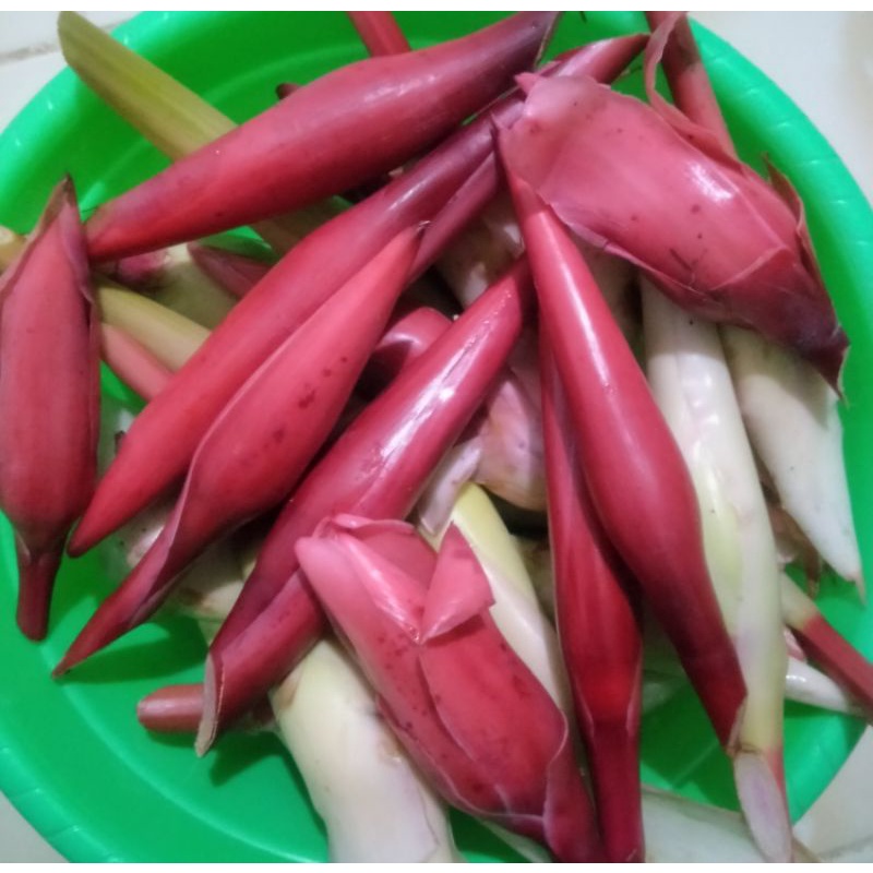 

Bunga Kecombrang Bunga Honje 500gram Fresh