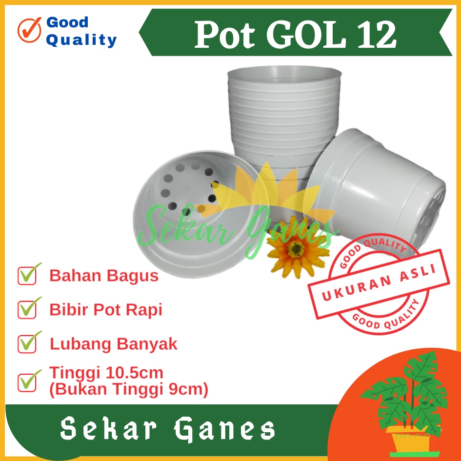 Sekarganes Lusinan Pot 12 Putih Polos - Pot 12 Cm Putih Kecil Mini Minimalis Plastik Kaktus Sukulen Mini Murah Pot Bibit Pembibitan