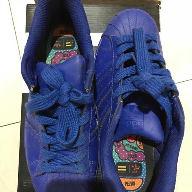 adidas pharrell williams harga