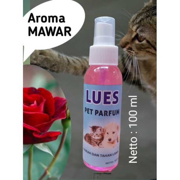 parfum wangi sepanjang hari aman netto:100ml