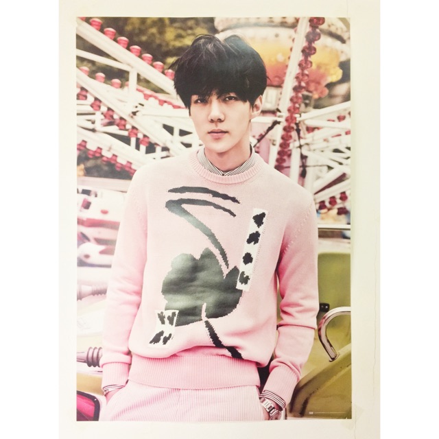 SUM EXO Love Me Right Official Goods - Sehun bromide/poster