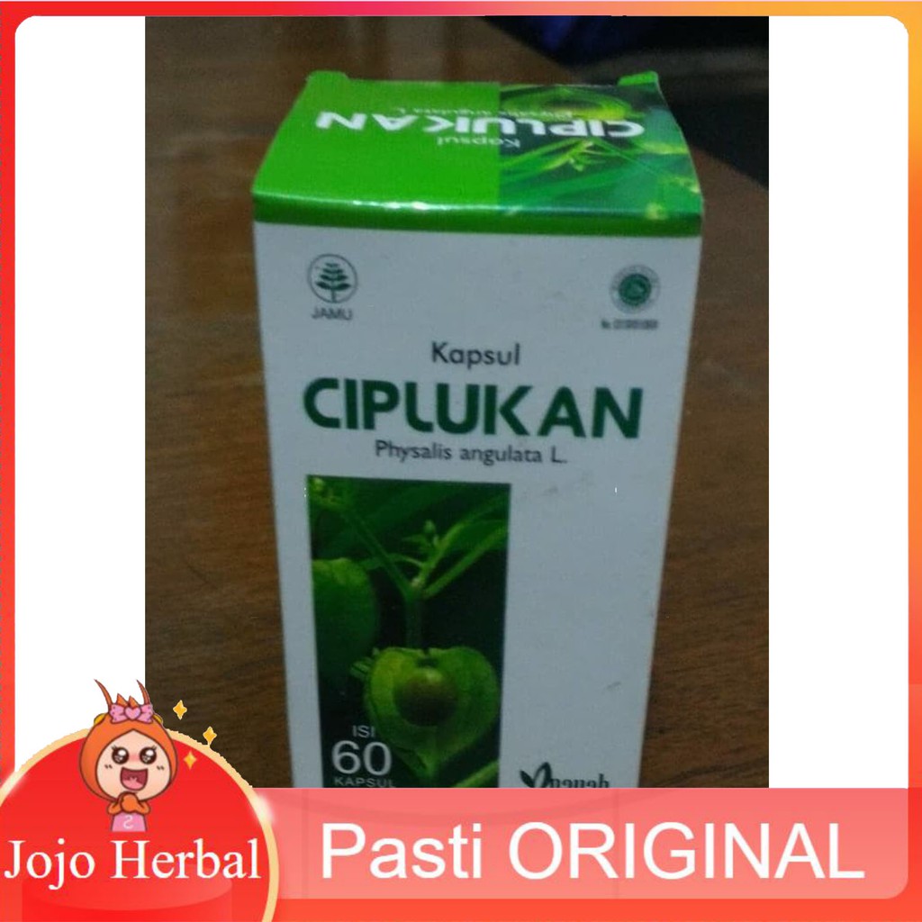 HERBAL ALAMI ASAM URAT Kapsul Ciplukan / Daun Ciplukan