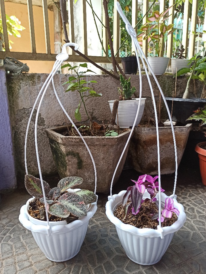 Pot Tanaman / Bunga Gantung 25 Renda Putih