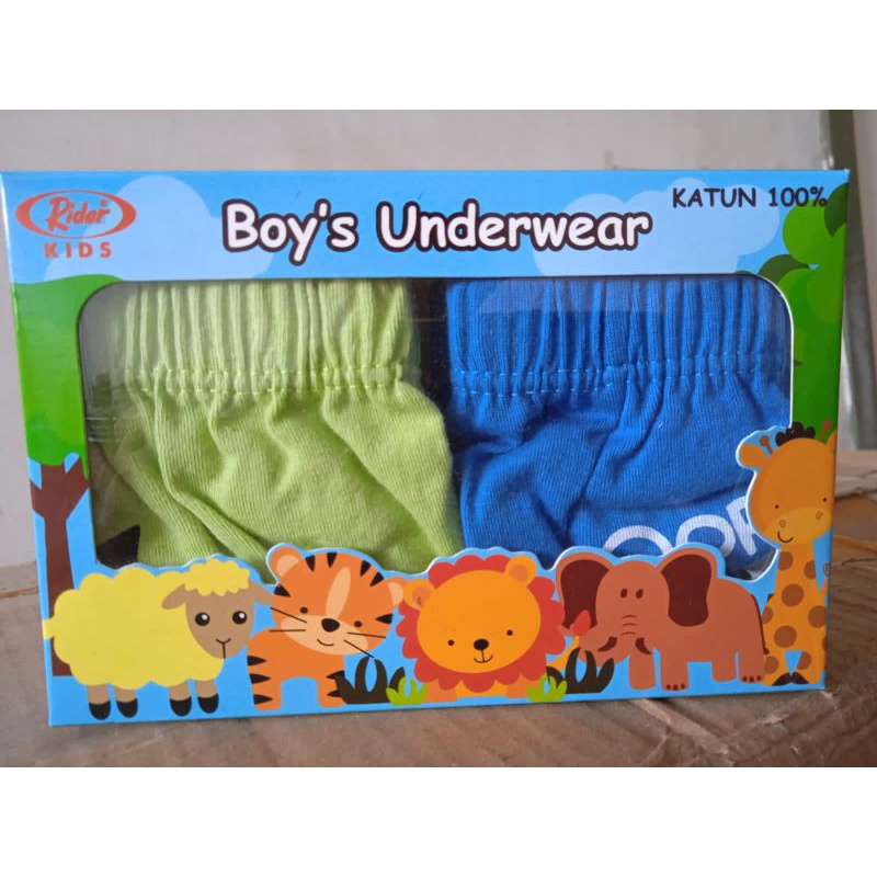 CELANA DALAM ANAK COWOK/ CELANA DALAM BAHAN KATUN ANTI BAKTERI/CELANA DALAM ANAK COWOK RIDER