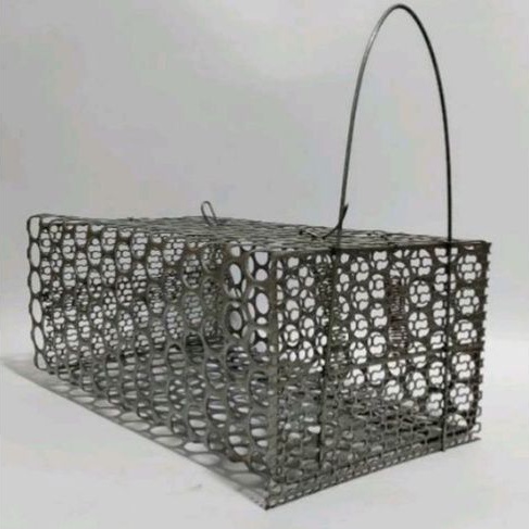 JEBAKAN TIKUS BESI/ PERANGKAP TIKUS BESI