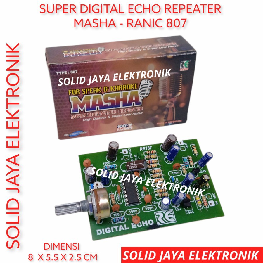 KIT DIGITAL ECHO REPEATER KARAOKE DAN VOKAL VOCAL MIC MIK MICROPHONE LOW NOISE MASHA RANIC 807
