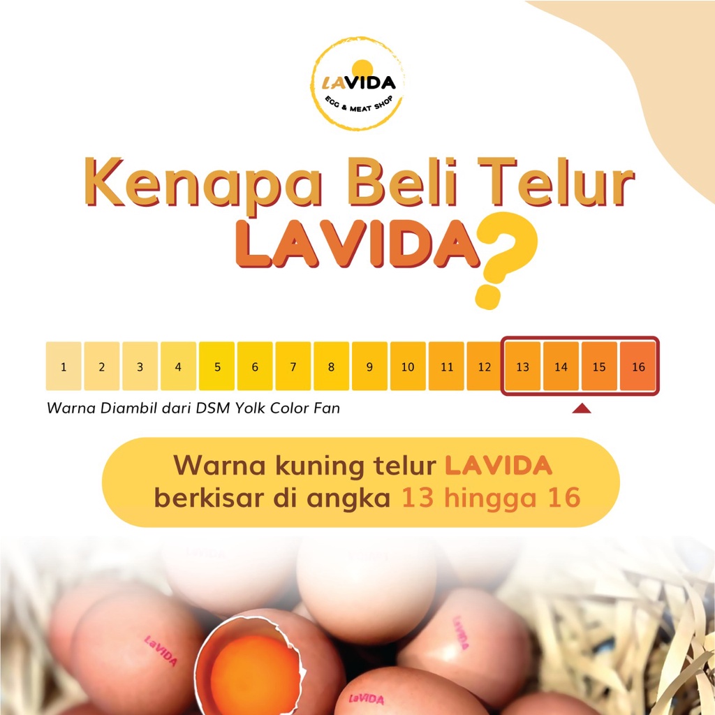 Telur LaVIDA Omega 3 ASLI bukan Suntikan- ( 1 Kg)