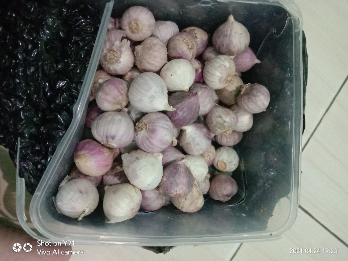 Bawang Tunggal/bawang Lanang / Bawang Putih Tunggal Mentah 500gram