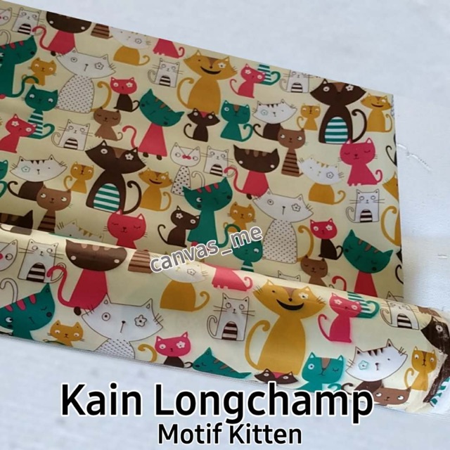 Kain Longchamp kitten