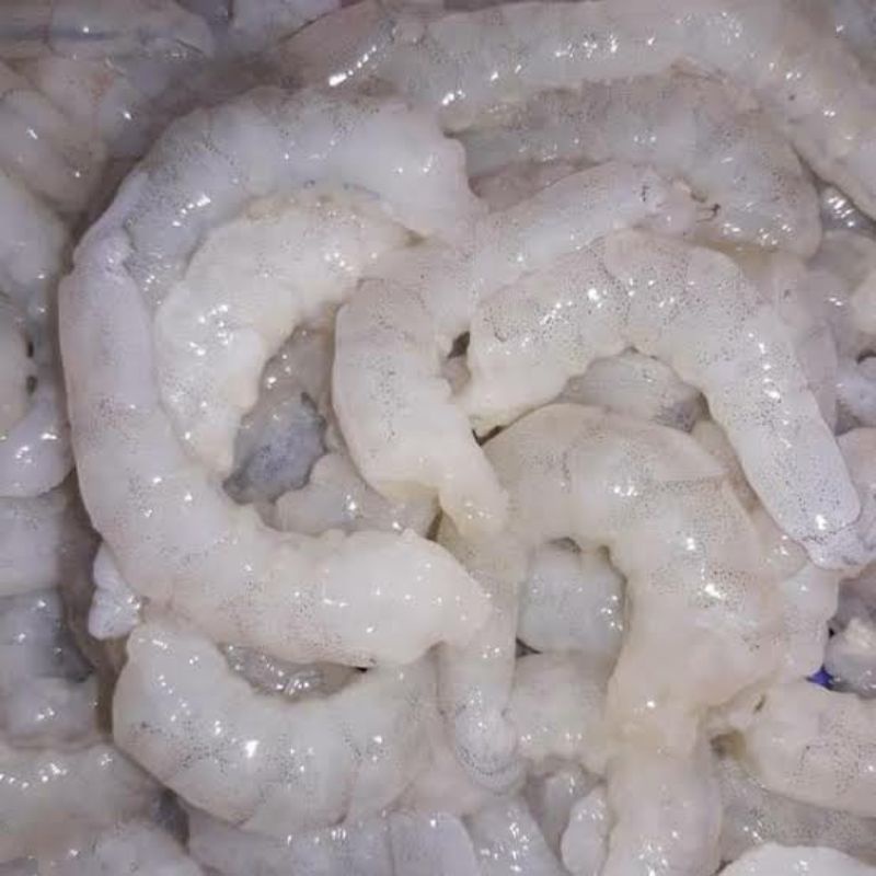 

Udang Kupas Segar 1 kg / Udang Kupas / Udang pakan