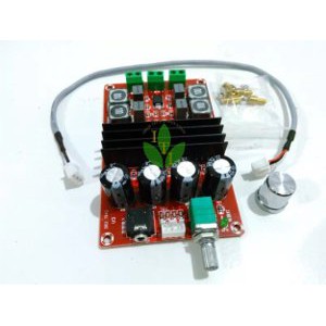 Amplifier class D stereo 2x100 watt Bagus