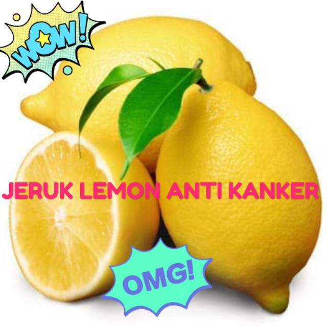 

PROMO JERUK LEMON ANTI KANKER/JERUK LEMON IMPORT KUALITAS PREMIUM MURAH ORIGINAL