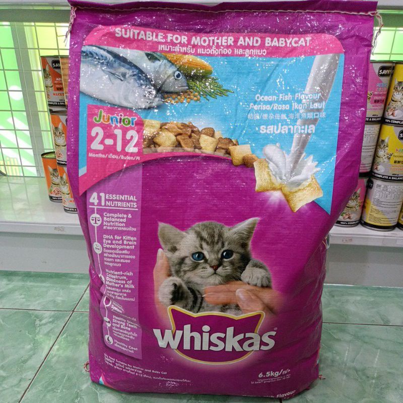 GRAB/GOJEK WHISKAS JUNIOR OCEAN FISH 6.5kg / Whiskas Dryfood/ Makanan anak kucing