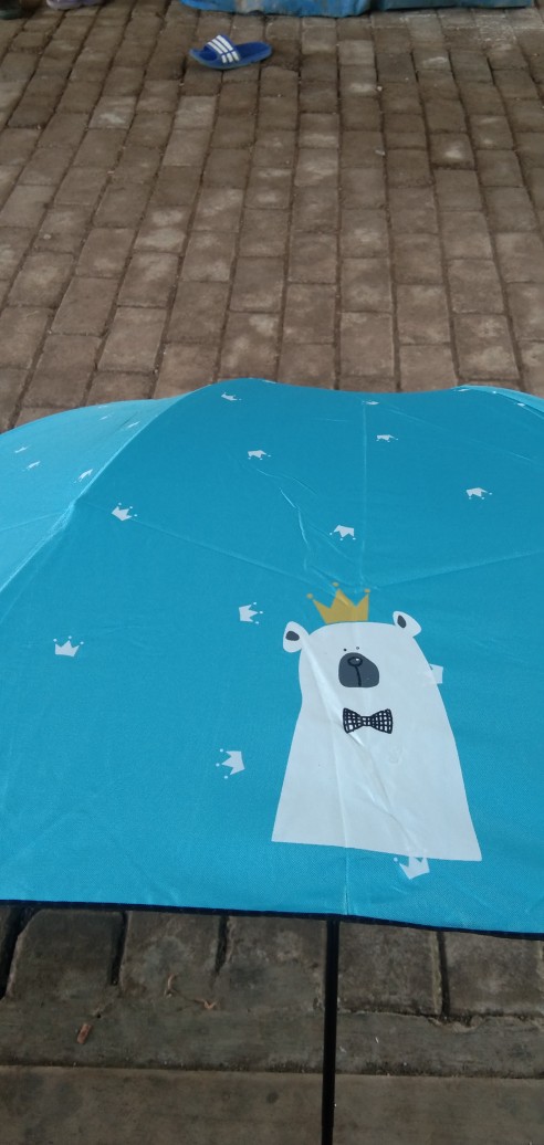 Payung Lipat 4 Fancy Karakter Bear King Anti Uv Merk Osaka Bw-109