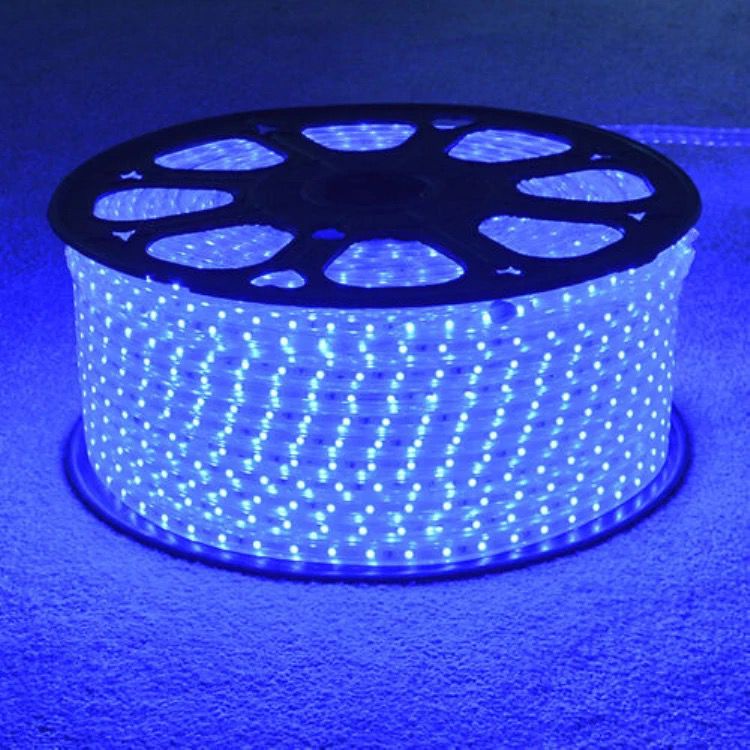 Lampu LED Strip Selang SMD 5050 100M 220V 100 Meter Outdoor Dekorasi Kualitas Produk TOP