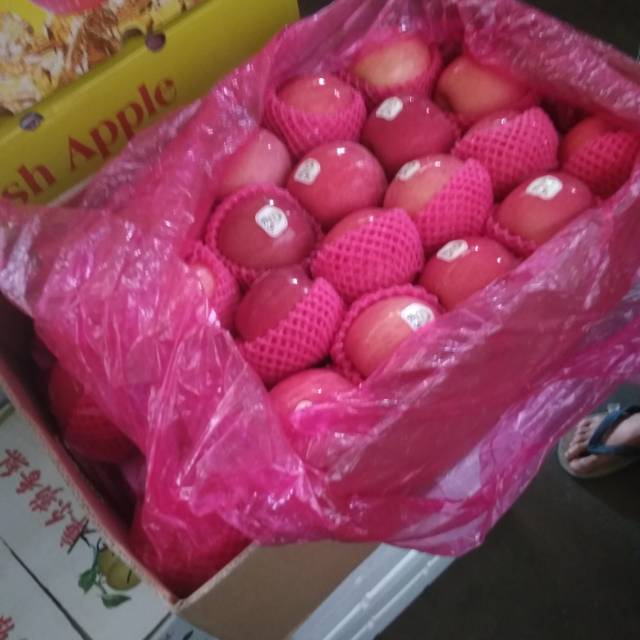 

Apel Fuji Premium Best Kualitas