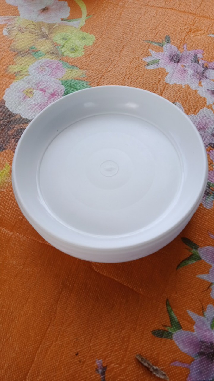 Pot Bunga Tanaman Tawon Putih 18cm +tatakan Bawah