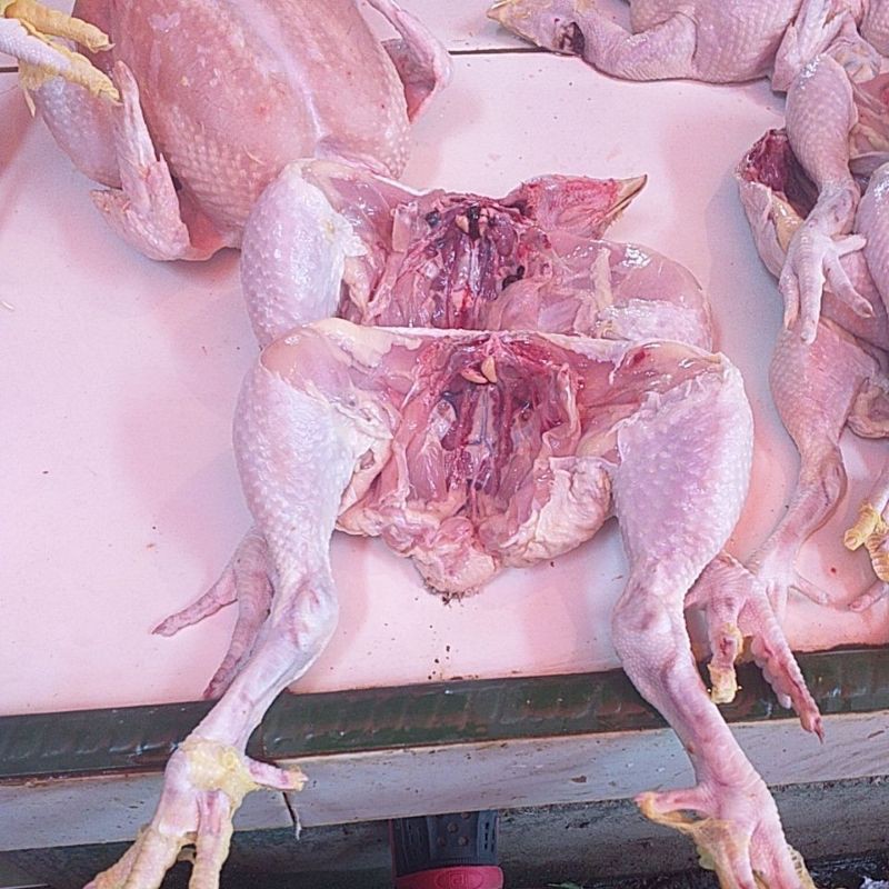 

Paha Ayam Sepasang Fresh