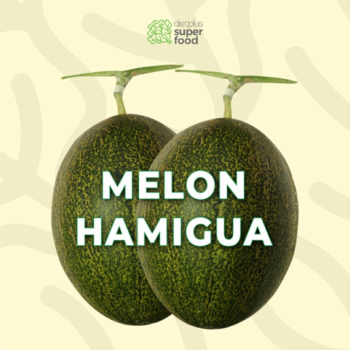 

Melon Hamigua 1 Buah 800-1100 gr / 0.8-1.1 kg Dietplus Superfood